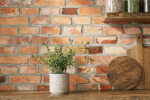 Płytki Ze Starej Cegły OLD WALL / MUR HISTORYCZNY