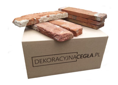 Próbki Płytek Z Cegły